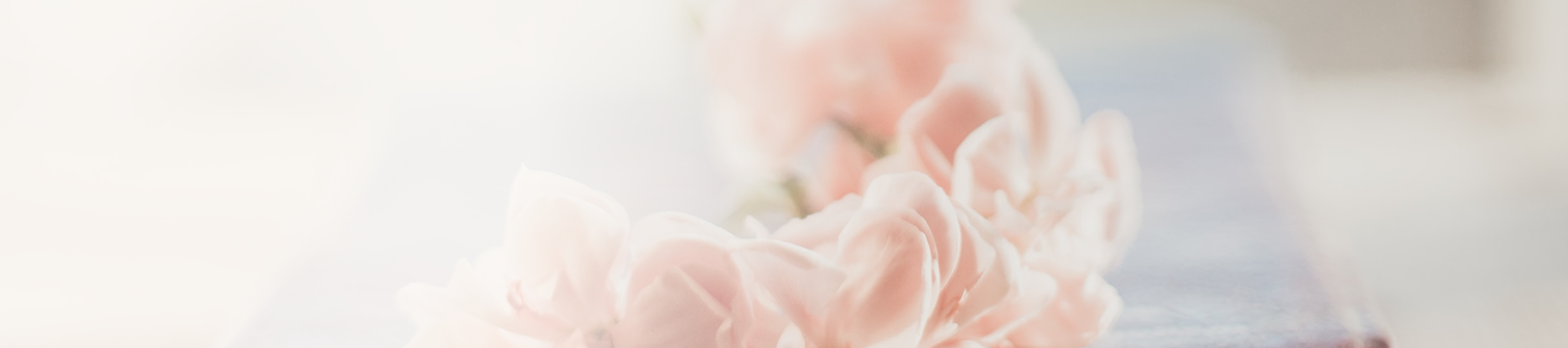 Närbild av mjukt rosa blommor med oskarp bakgrund.
